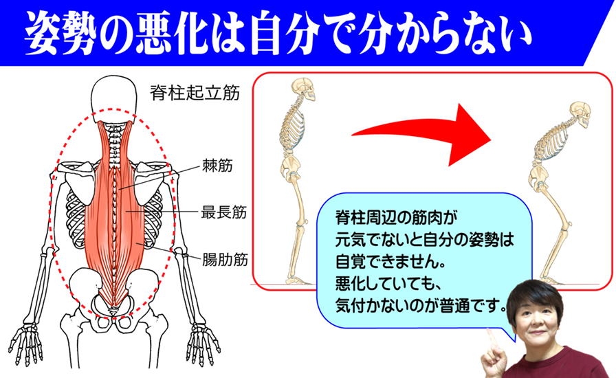脊柱起立筋が低下した姿勢の悪い高齢者は、正しい体の使い方が分からないまま筋力低下を進行させる